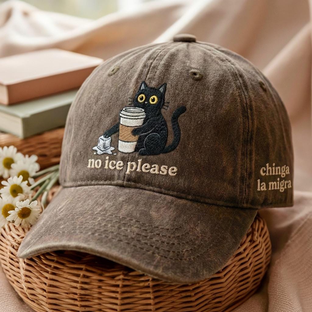 Subtle Anti-ICE Embroidered Baseball Cap – “No ICE Please” | Abolish ICE Political Protest Hat, Social Justice Minneapolis