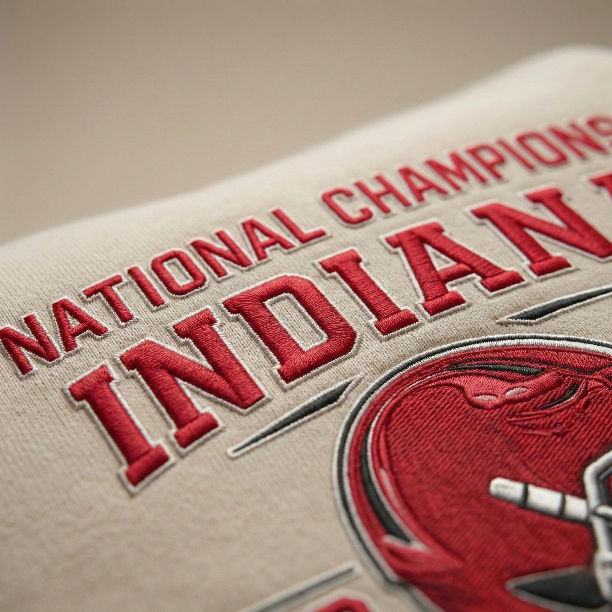 Indiana Football Embroidered 2026 National Champs Hoodie, Trendy Game Day T-Shirt, Unisex Sweatshirt, College Football Fan Gift