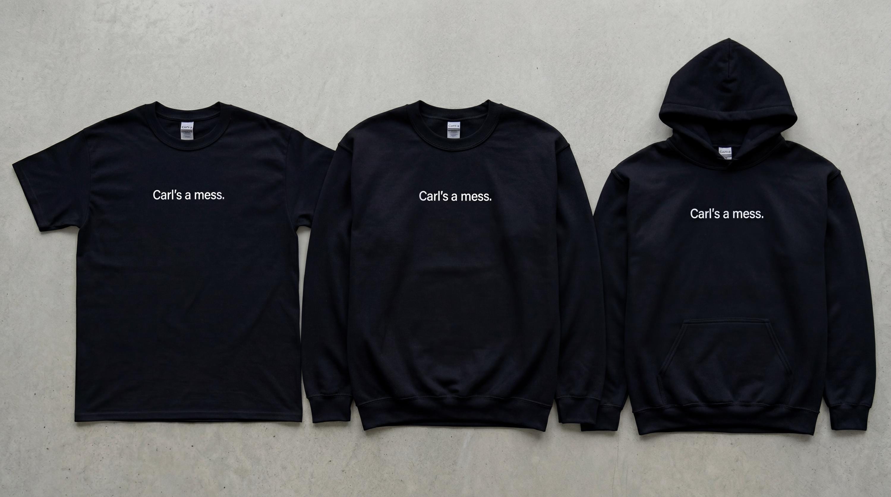 Carls a Mess Embroidered Hoodie, Funny Reality Quote Sweatshirt, Minimalist Unisex Casual Streetwear, Soft Shirt Style Gift for Fans