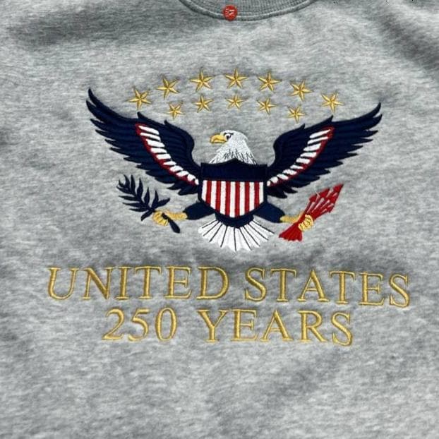 Custom Embroidered USA 250 Years Sweatshirt, Semiquincentennial Hoodie, American History Gift, Patriotic Crewneck, Personalized Sleeve