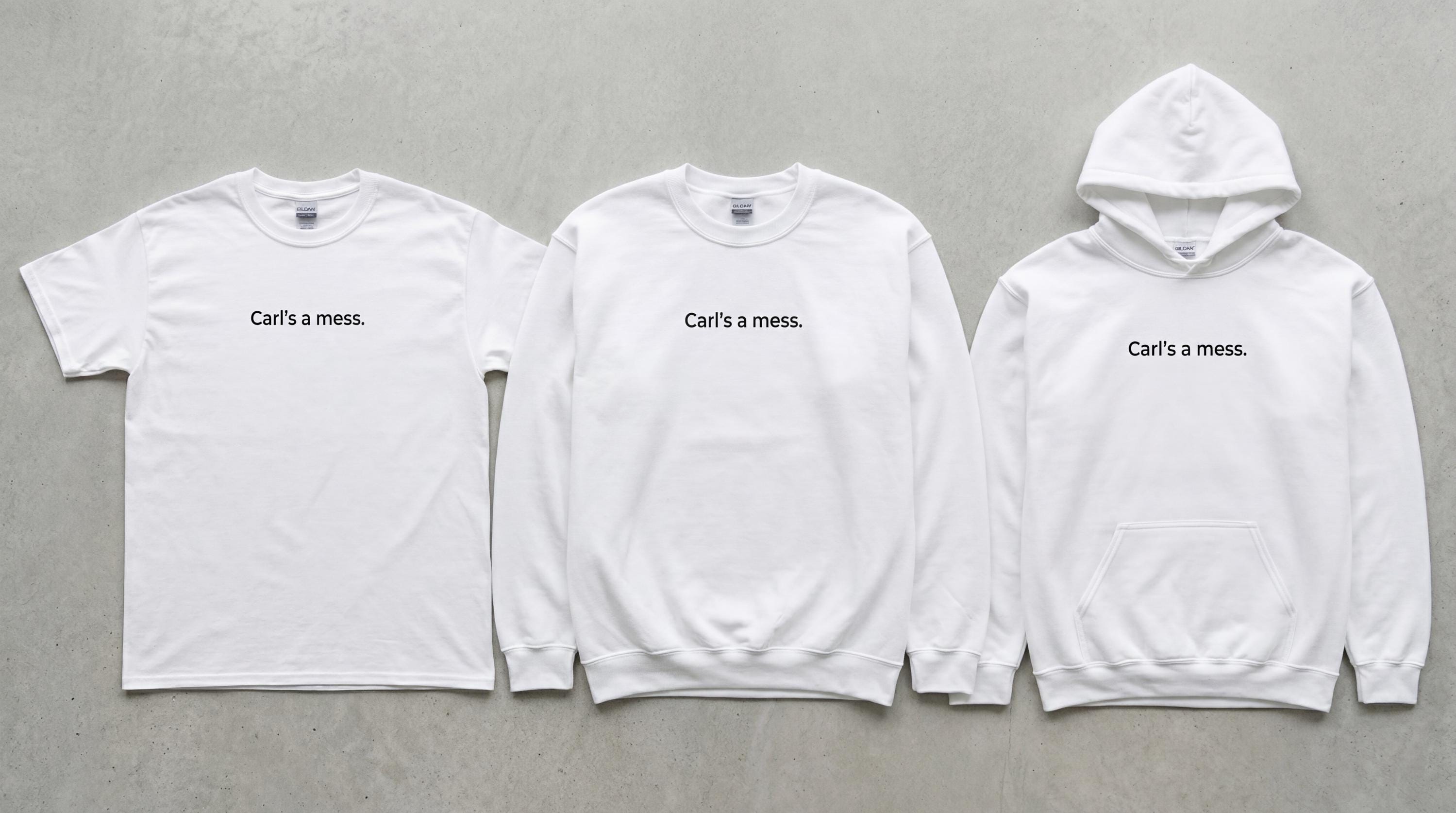 Carls a Mess Embroidered Hoodie, Funny Reality Quote Sweatshirt, Minimalist Unisex Casual Streetwear, Soft Shirt Style Gift for Fans
