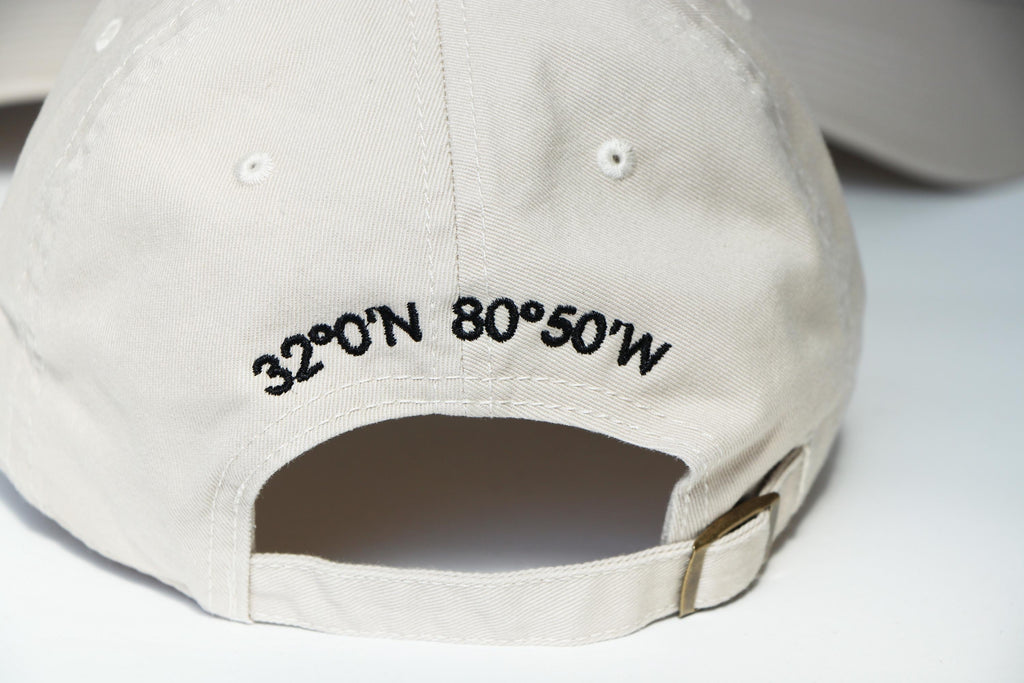 Embroidered Palm Tree Hat: Custom Cotton Baseball Cap