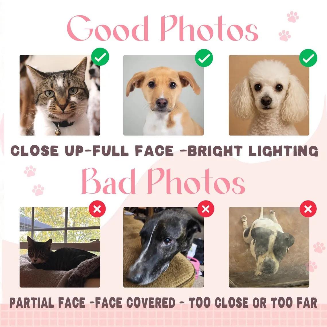 Custom Embroidered Pet Photo Hat: Personalized Dog & Cat Baseball Cap