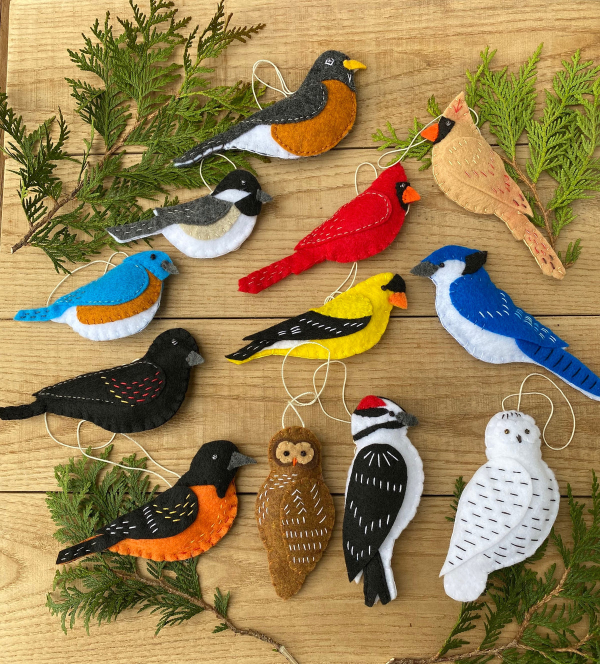May include: A set of 10 felt bird ornaments, each with a unique design and color. The birds include a bluebird, a cardinal, a robin, a woodpecker, a chickadee, a goldfinch, a owl, a woodpecker, a  woodpecker, and a snowy owl.